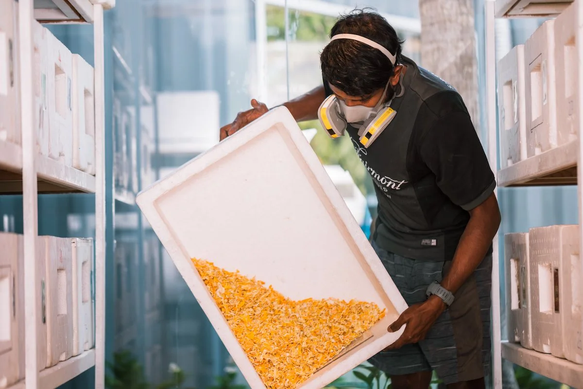 Fairmont Maldives - Sustainability Lab Plastic Pellets 2.jpg