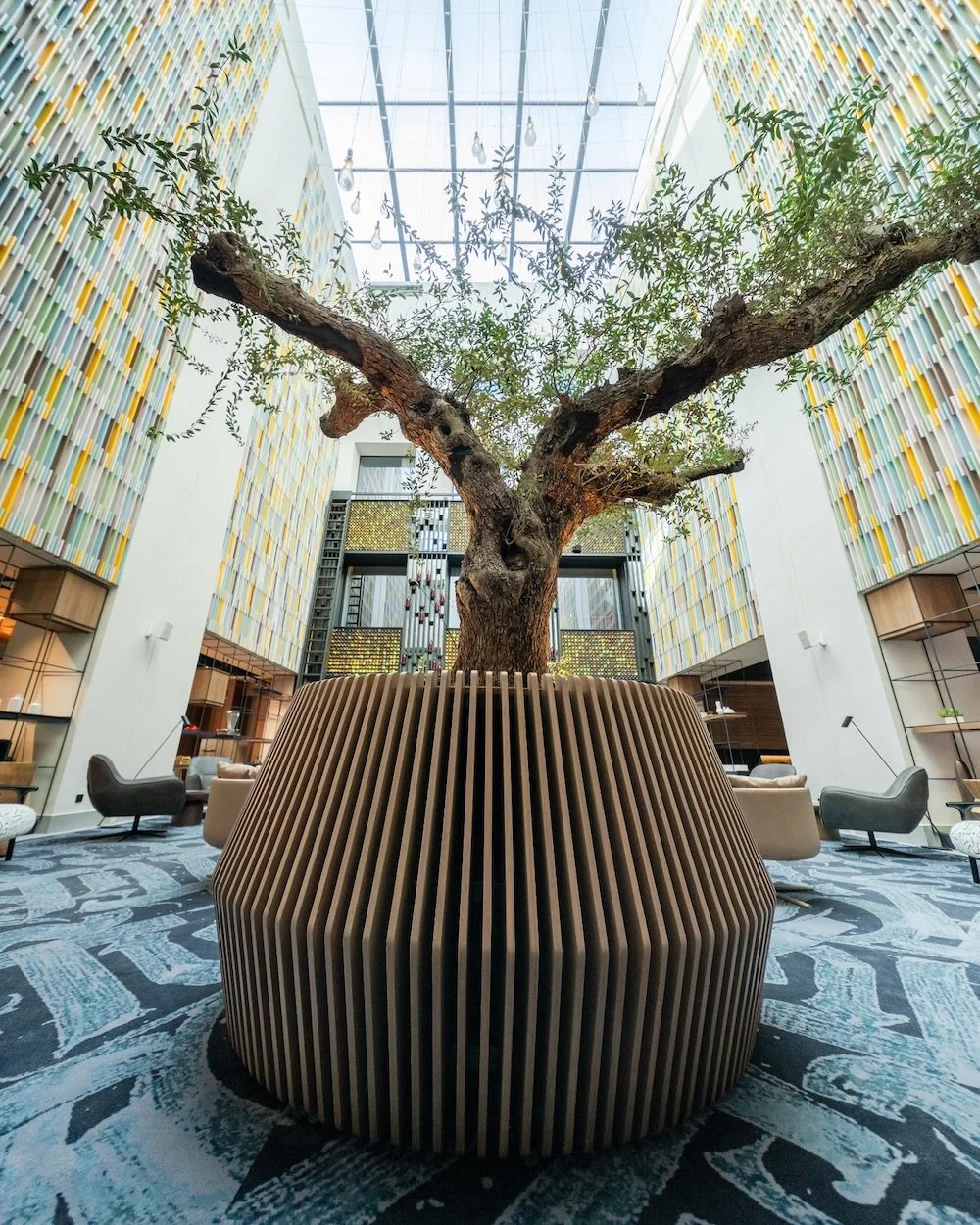 Tree.jpg