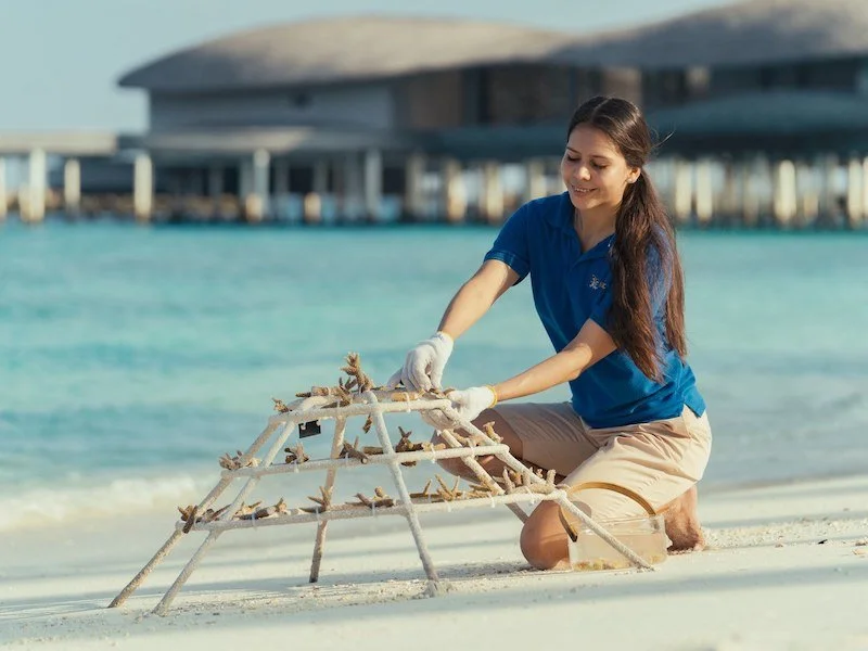 St. Regis Maldives x Reefscapers 3.jpg
