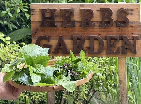 UKB Herb Garden.jpg