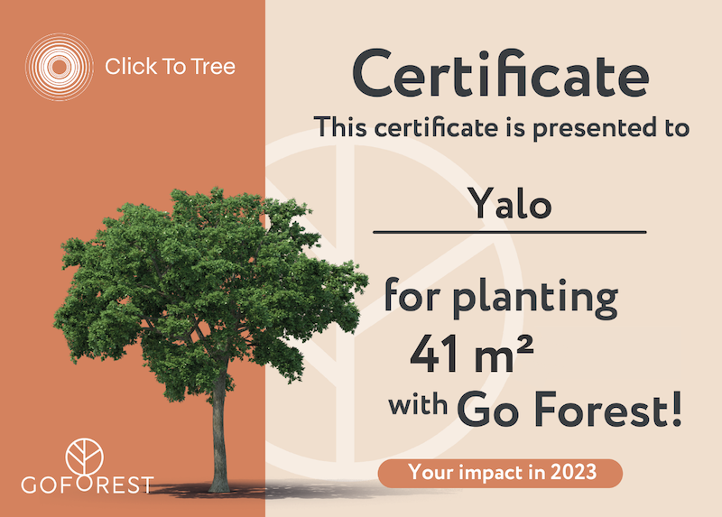 Certificaat - Yalo.png