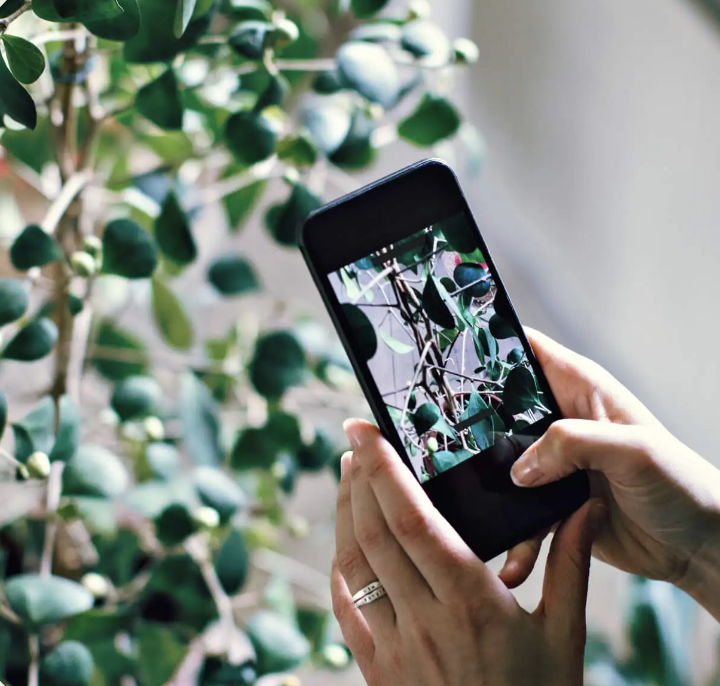 The Planta app delivers individual care schedules and reminders for your plants, recommendations, step by step guides, identification, light meter and more.