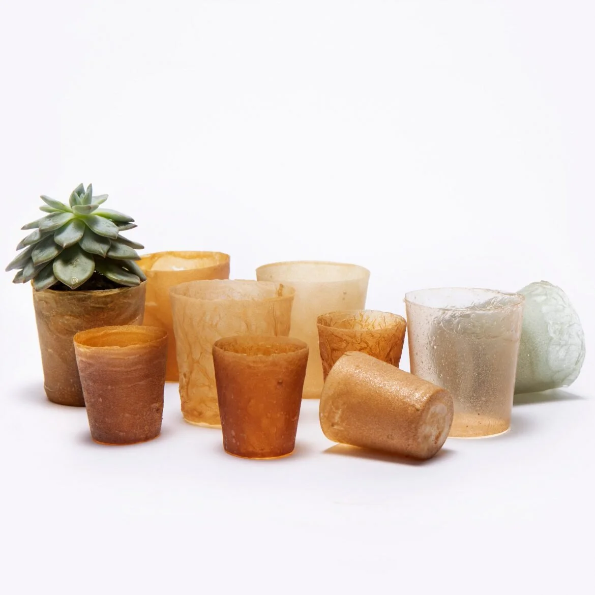 Shellworks have designed machines that turn waste lobster shells into bioplastic. The seafood waste contains chitin, an abundant biopolymer that could be used as an alternative to single use plastics.
