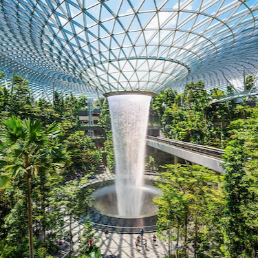 When we think about airports, we often think of the stressful lines, huge parking lots and long terminal hallways with plain and basic modern architecture. However, Singapore’s Changi Airport excels at exemplifying Environmental Features within a Bio