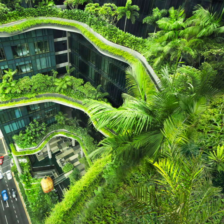 Parkroyal Collection Pickering is inspired by Hong Lim Park, which is located next to the site, rice terraces and the topography of natural landscapes. The building brings 15,000 square metres of greenery – around double the area of the site – back i