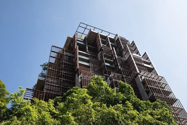 Biophilic design is used to increase connectivity to the natural environment through the use of direct nature, indirect nature, and space and place conditions.