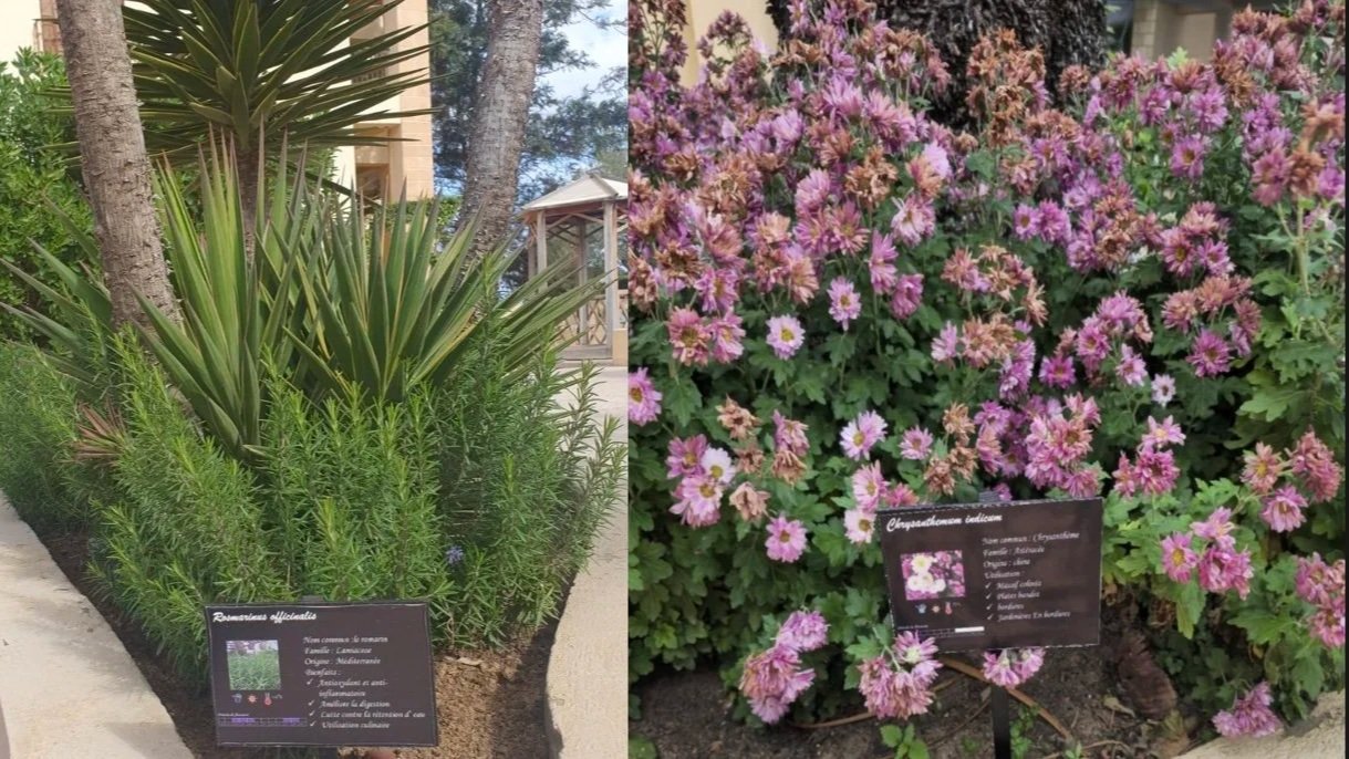 Mövenpick Resort &amp; Marine Spa Sousse Gets Busy with the Botanicals