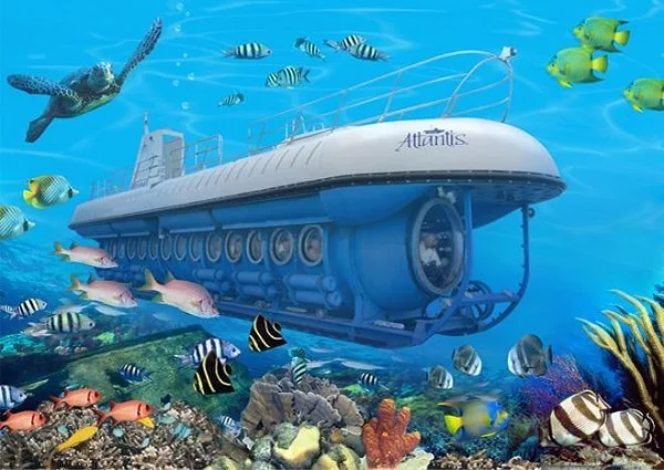Coral Nursery for Reef Health