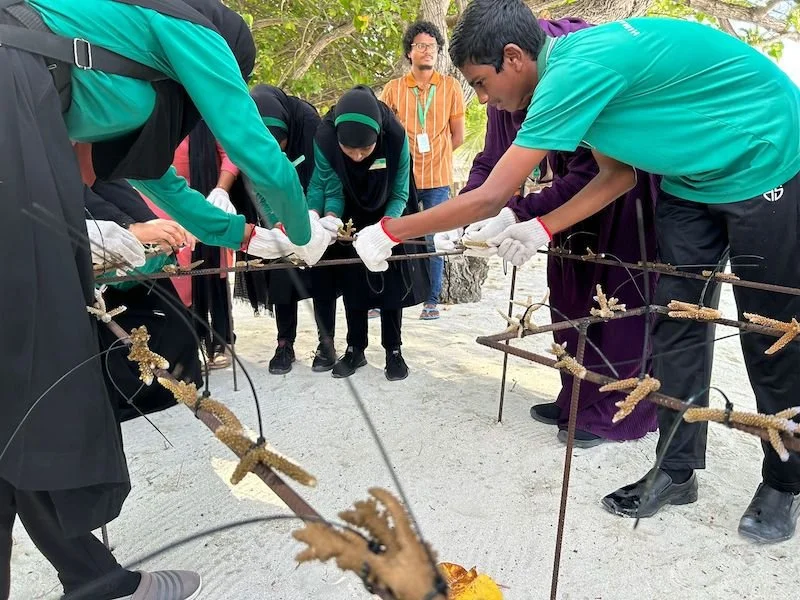 Constance Moofushi Maldives Resort Coral Restoration Project