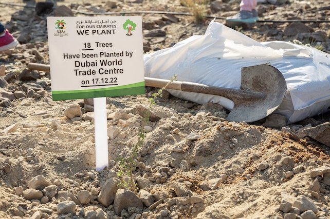 Dubai World Trade Centre: Planting it Forward