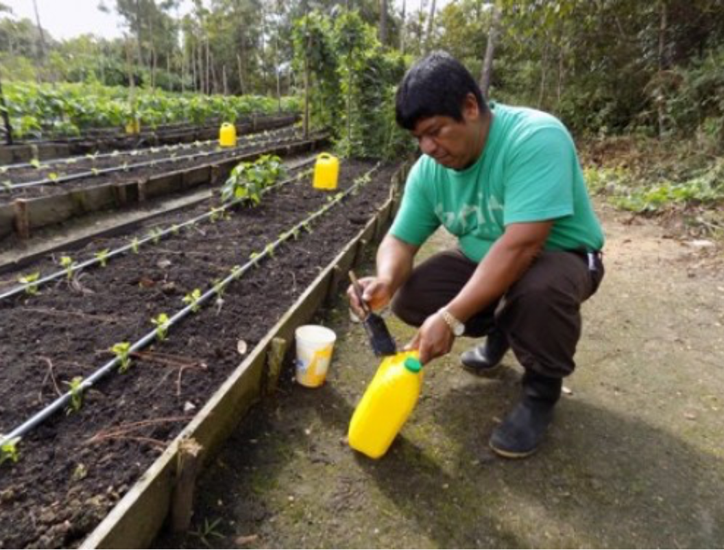 Organic Gardening Practices at Gaïa Riverlodge 