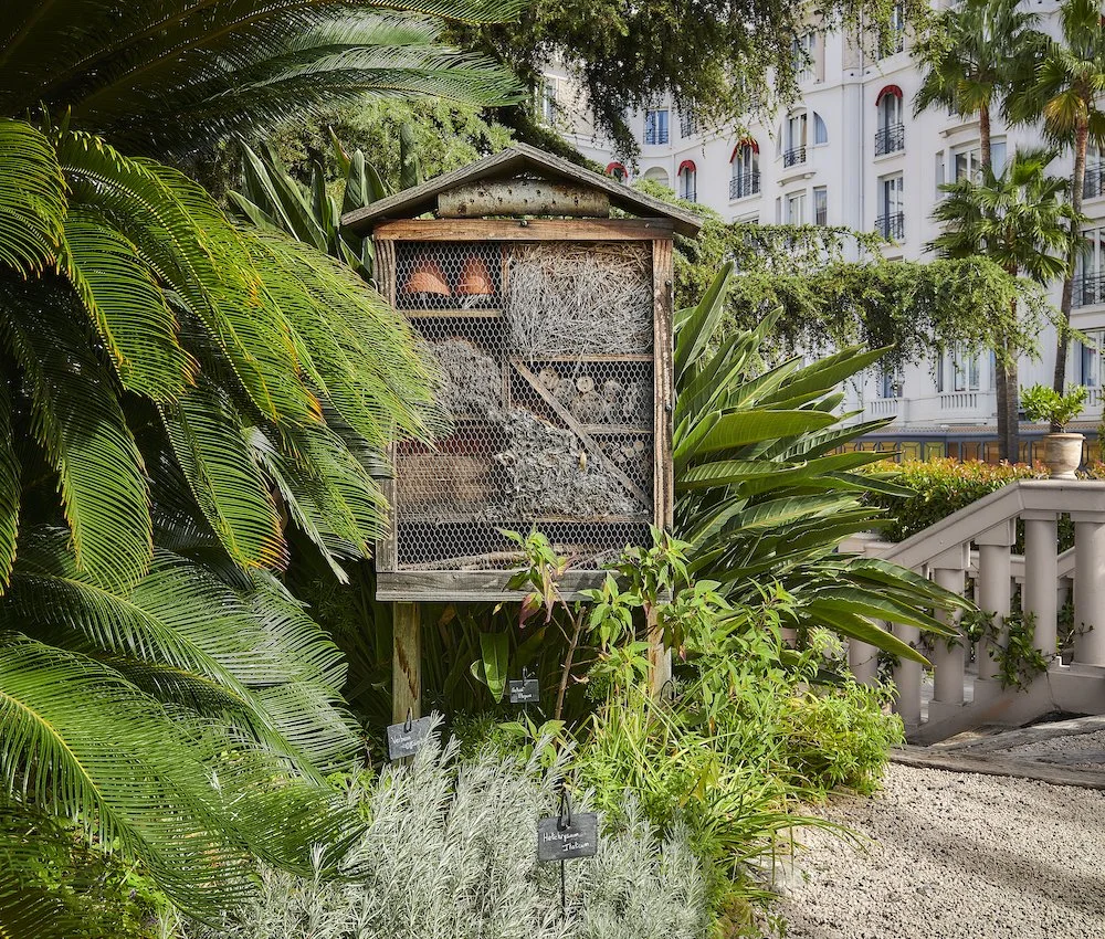 Biodiversity Protection at Hotel Barrière Le Majestic Cannes