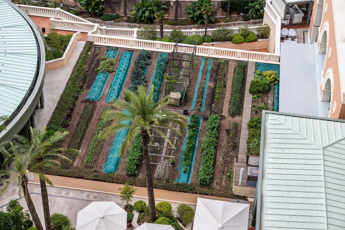Garden Fresh at Monte-Carlo Bay Hotel &amp; Resort 