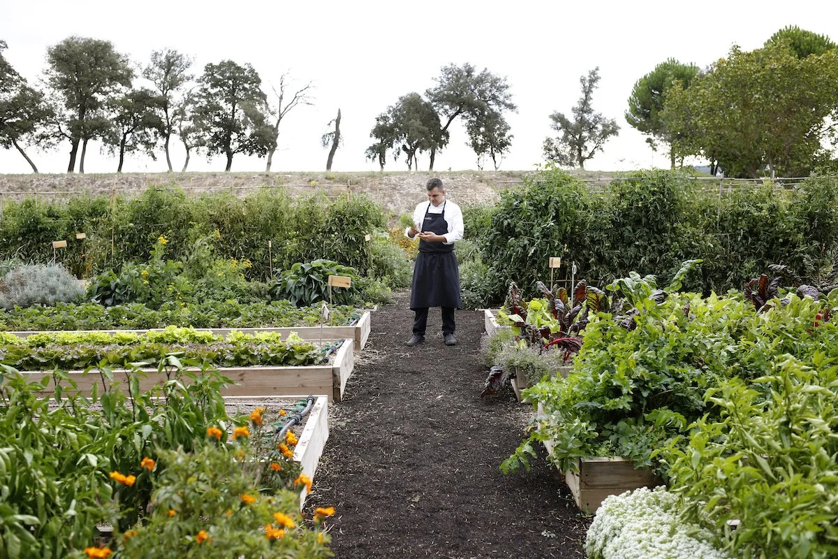 Abadía Retuerta’s Refectorio: Michelin Star and Green Star Gastronomy
