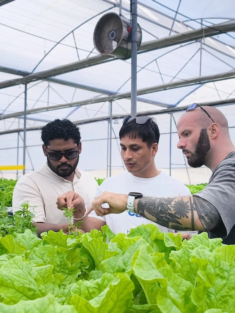 Maldivian Mermaid – Farm to Plate Initiative