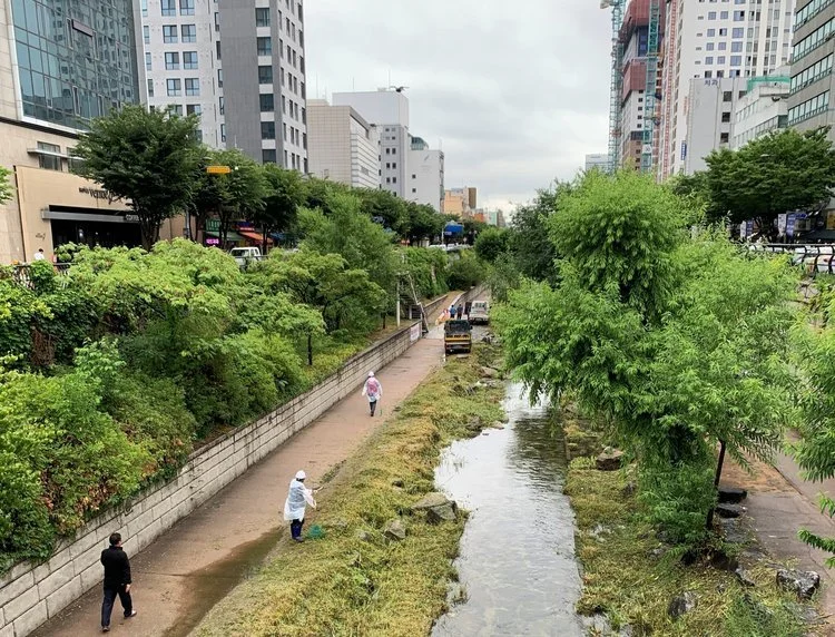 Converted from a downtown freeway the Cheonggyecheon stream provides a number of critical ecosystem services. The stream provides protection from 200-year flood events, and has reduced the urban heat island effect by lowering summertime temperatures 