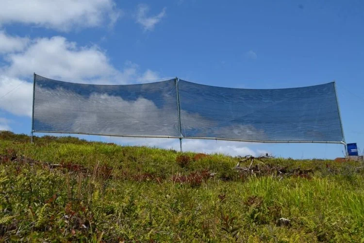Fog harvesting technology is a simple but effective method of collecting potable water. Layers of mesh nets are erected and as wind moves through, drops of fresh water form, are collect in gutters, and then piped into holding tanks.