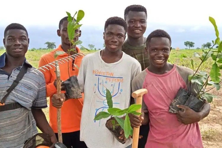 Holistic sustainability solutions are not created overnight. Click A Tree’s story began back in 1987 in Cameroon and Tanzania, developed through elephant experiences in Thailand, and today is headquartered in Germany with projects worldwide.