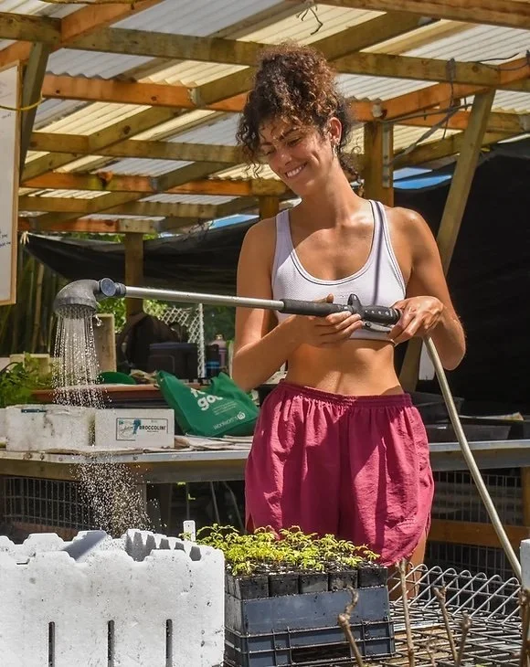 ReForest Now grows over 130,000 rainforest trees per year, extending to more than 115 varieties. Their professional seed collectors have a strong focus on species and genetic diversity, with priority for plants that are threatened with extinction. Ev