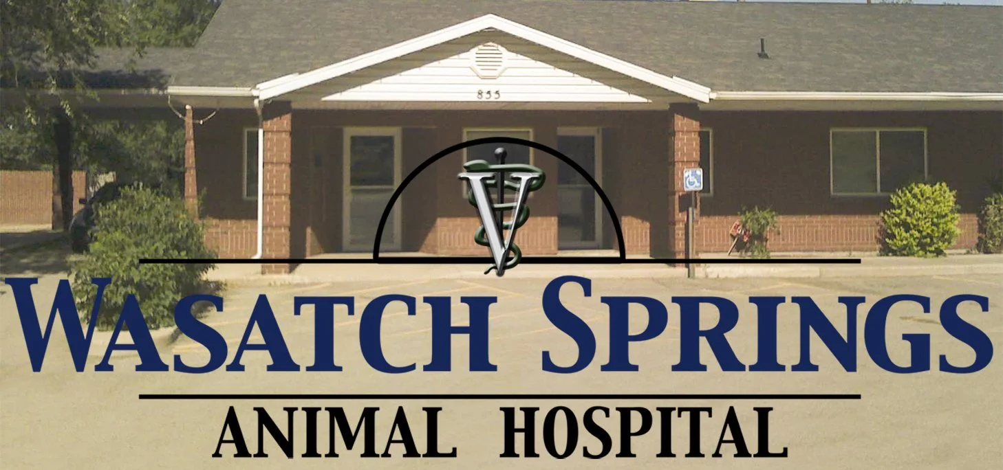 Wasatch Springs Animal Hospital building at 855 Beck Street with the clinic logo