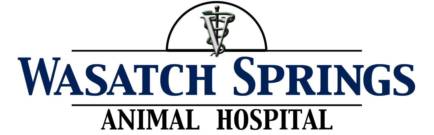 Wasatch Springs Animal Hospital
