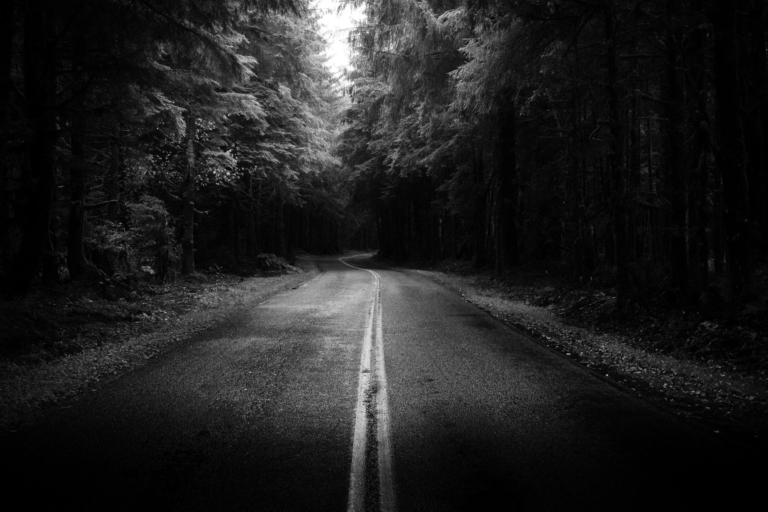 A narrow, winding road passes through a dense forest of tall trees with overhanging branches, creating a tunnel-like appearance. The image is in black and white, emphasizing shadows and contrast, with the road disappearing into the distance.