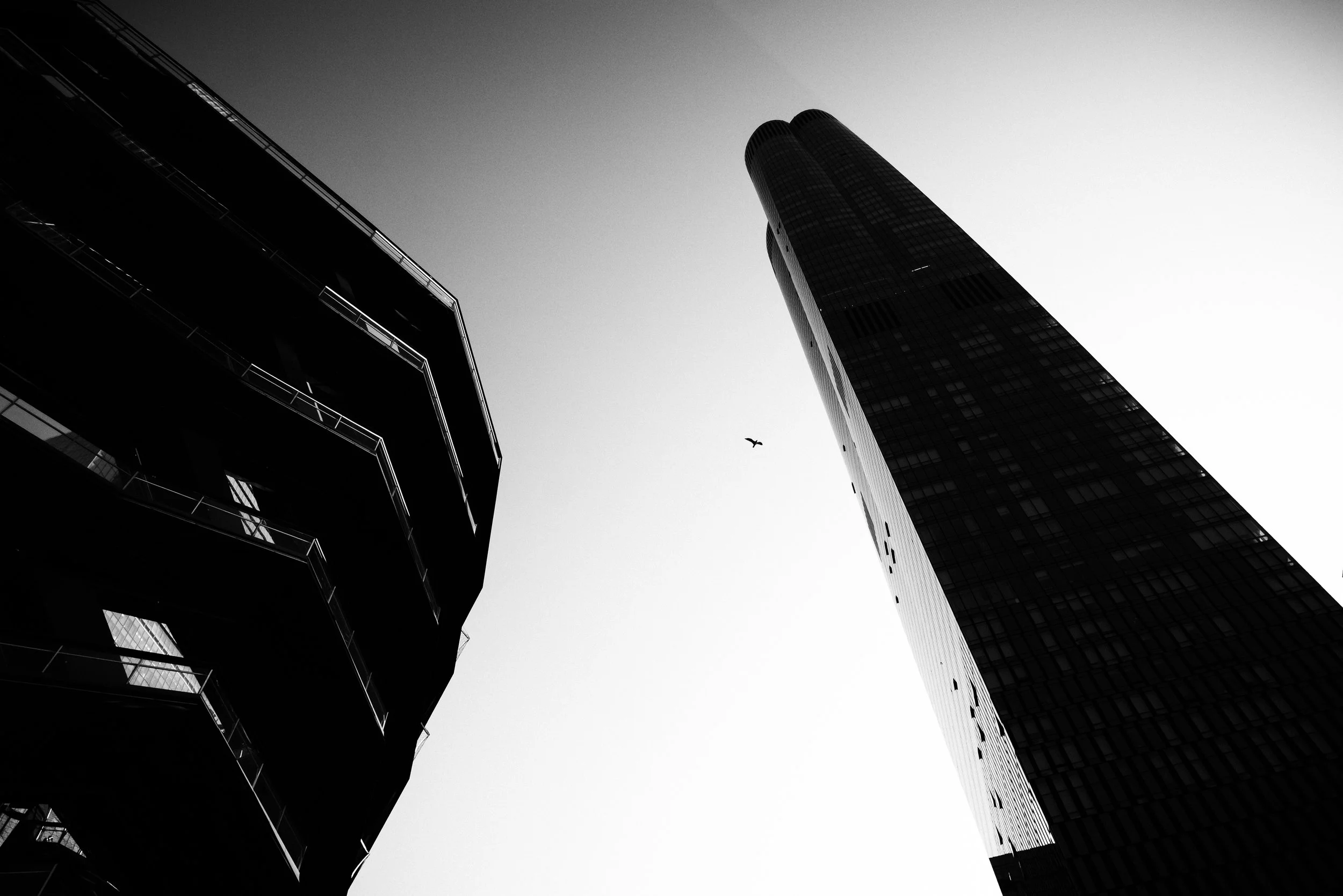 Low-angle black-and-white photo of two tall skyscrapers and a building, with a migratory bird flying overhead, against a clear sky.