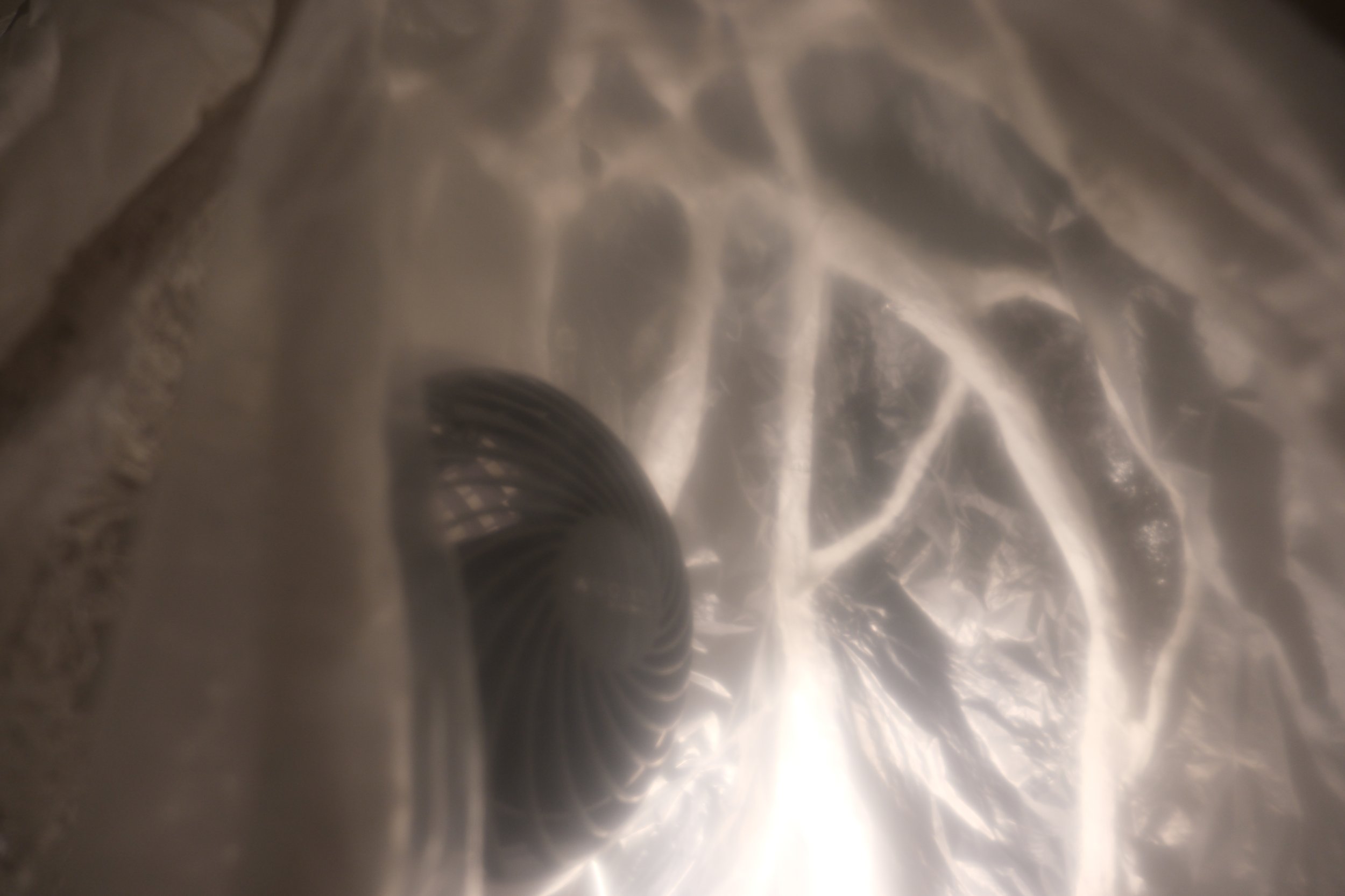 DSCF0312.JPG
