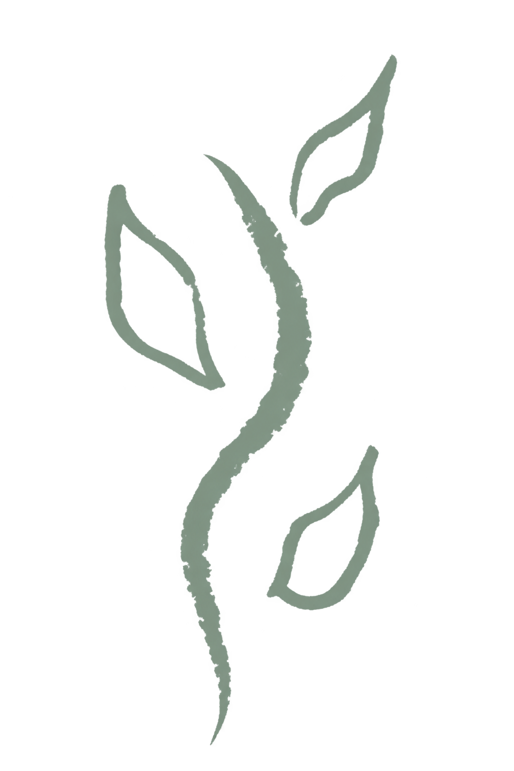 Growth symbol botanical leaf silhouettes
