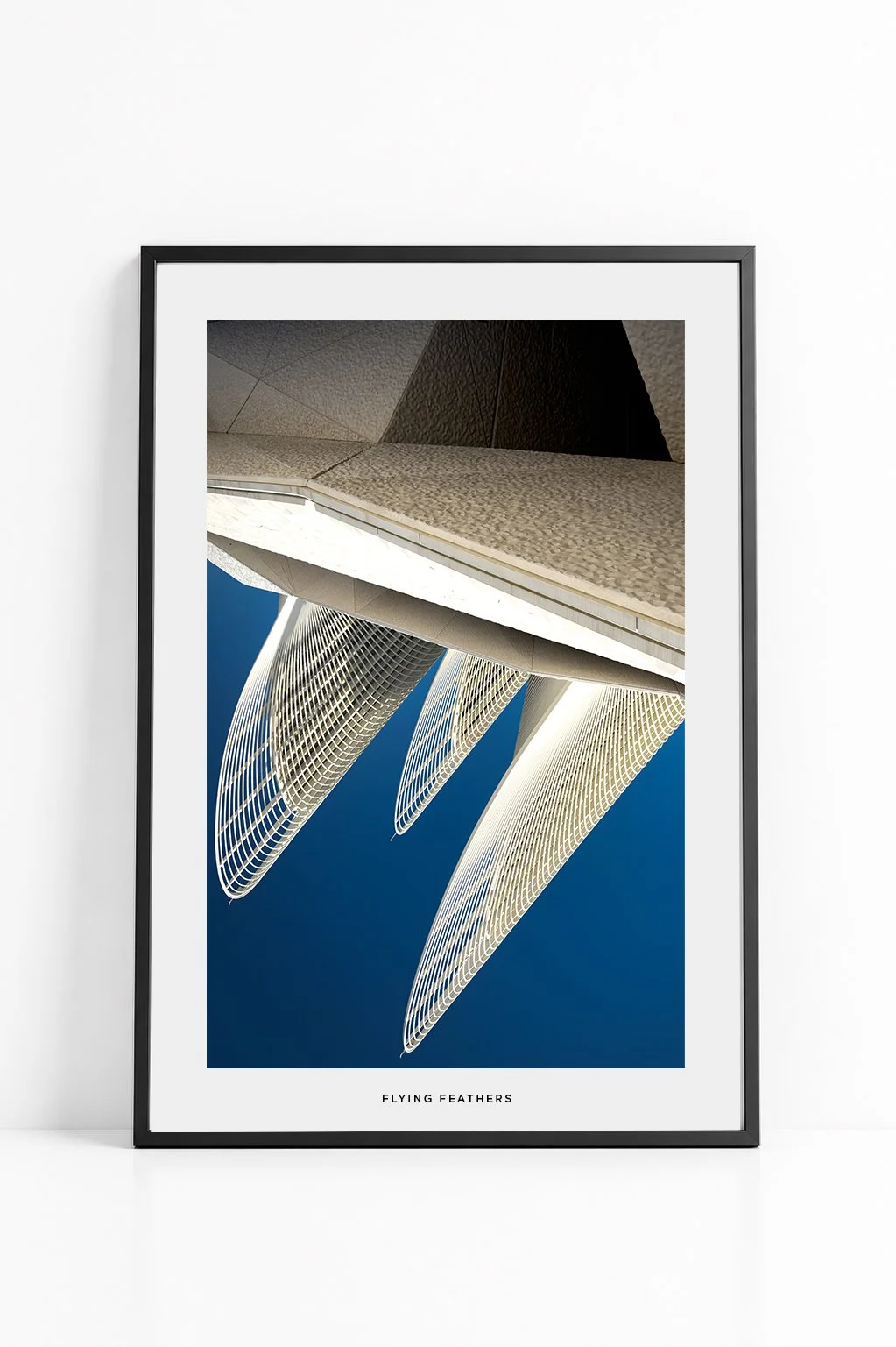 017_FLYING FEATHERS.jpg