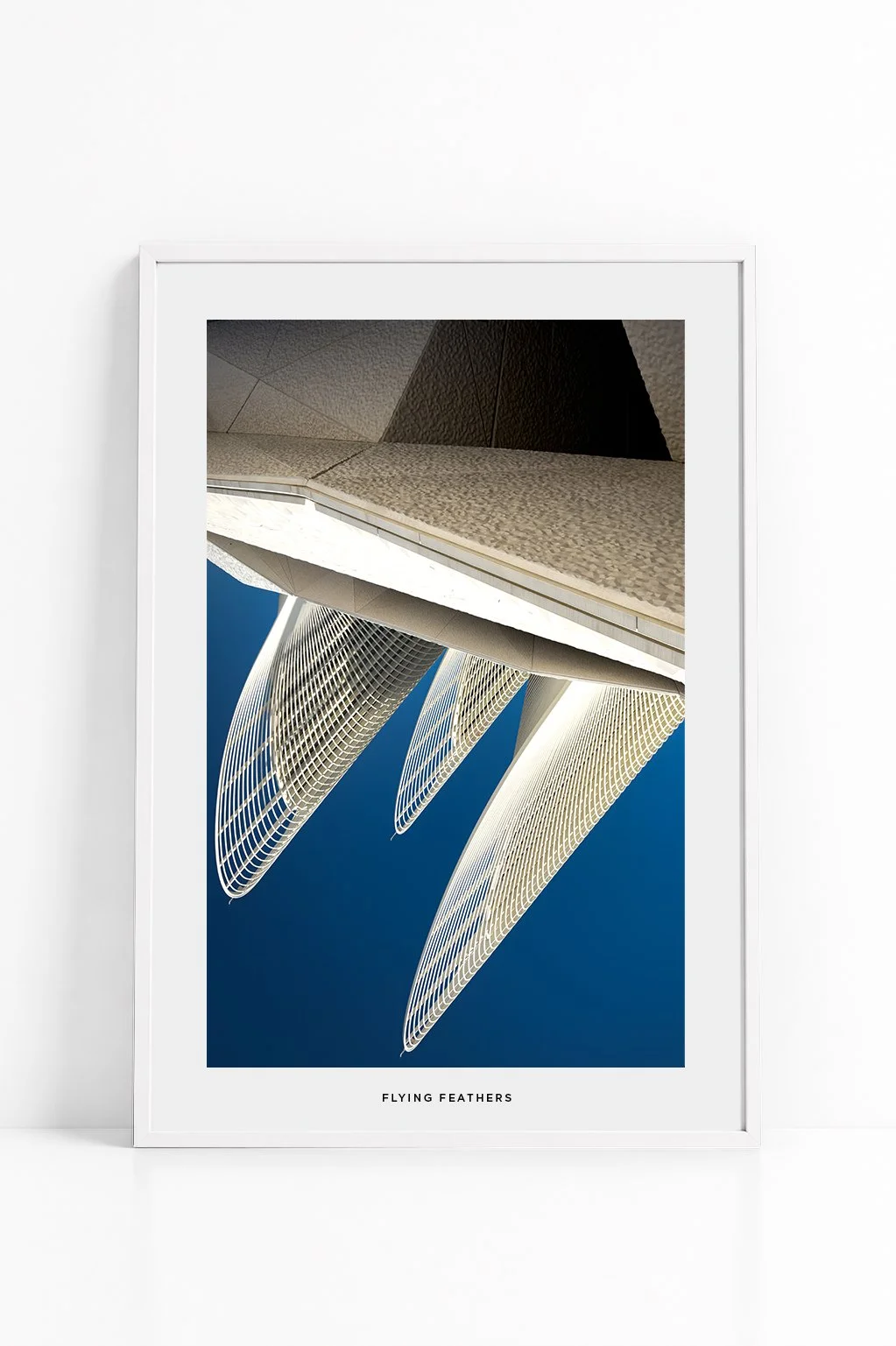 017_FLYING FEATHERS - WHITE.jpg
