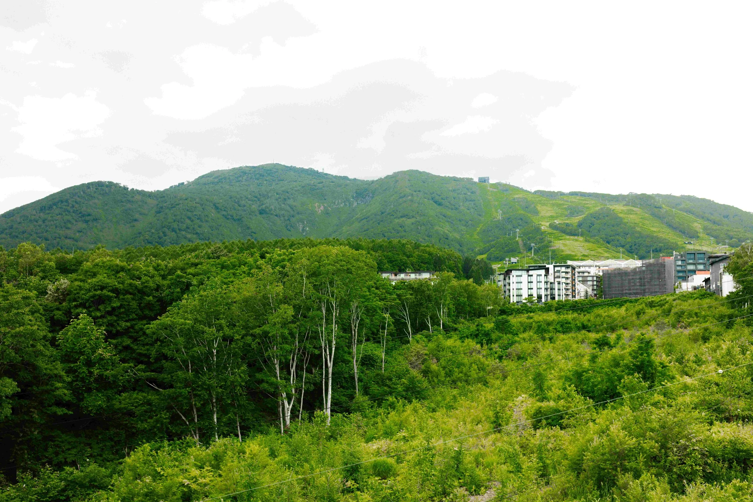 HavenNiseko_4BDRResidence_15-compresso.jpg