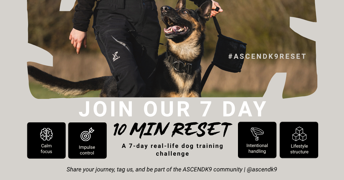 7 Day Dog Training Challenge | The ASCENDK9 10 Minute Reset