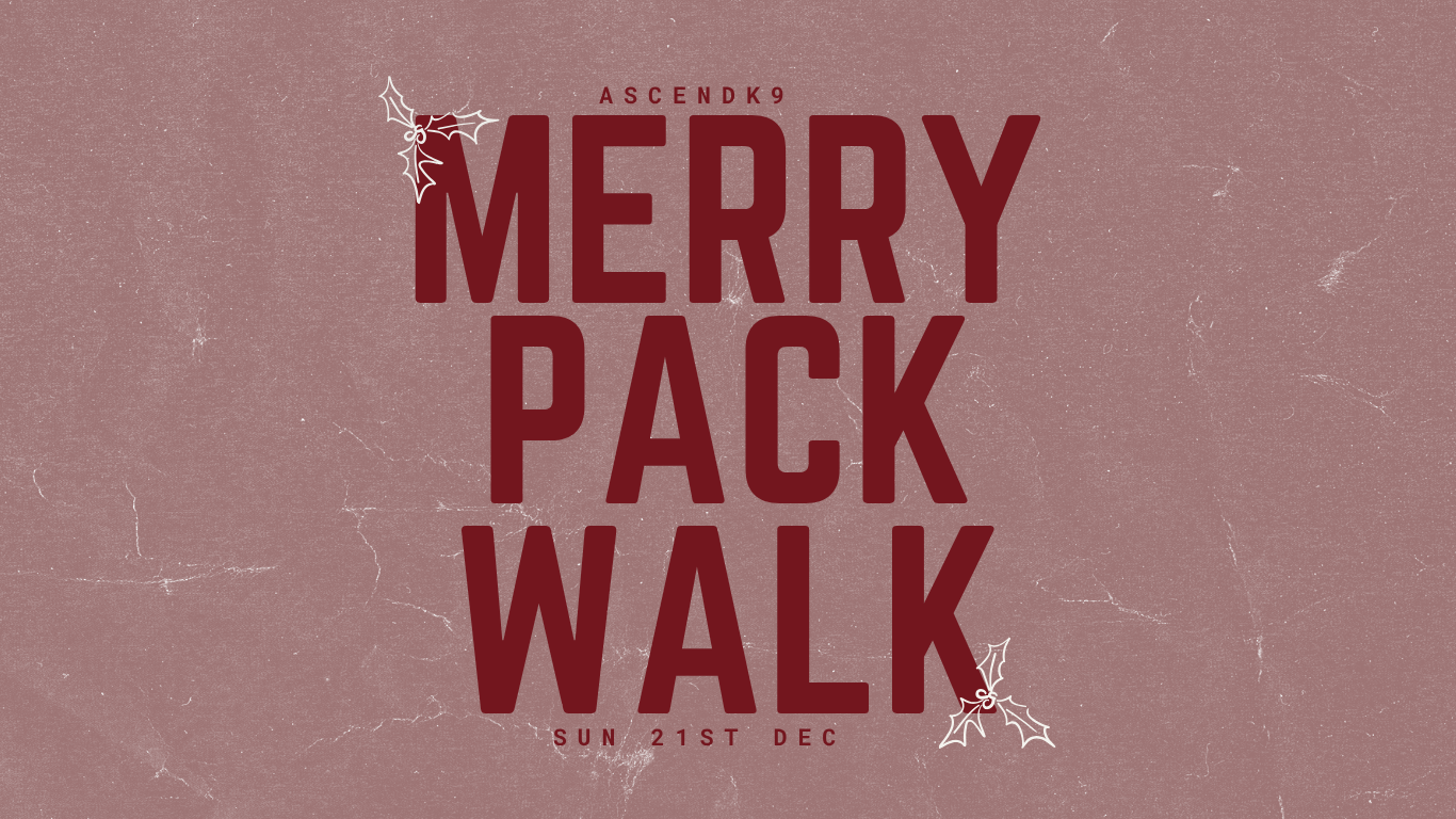 ASCENDK9 Charity Pack Walk for Mind: Coming This December!
