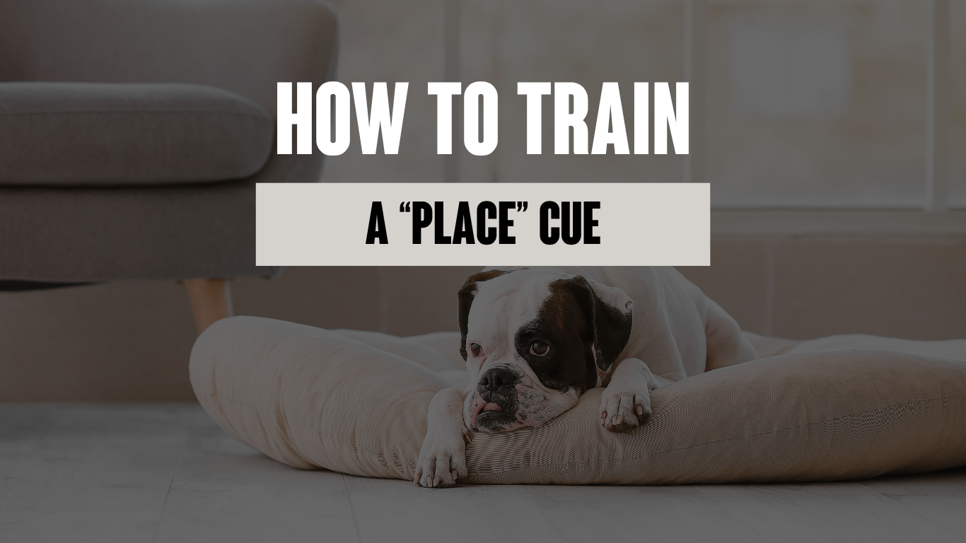 How to Train a Place Command 