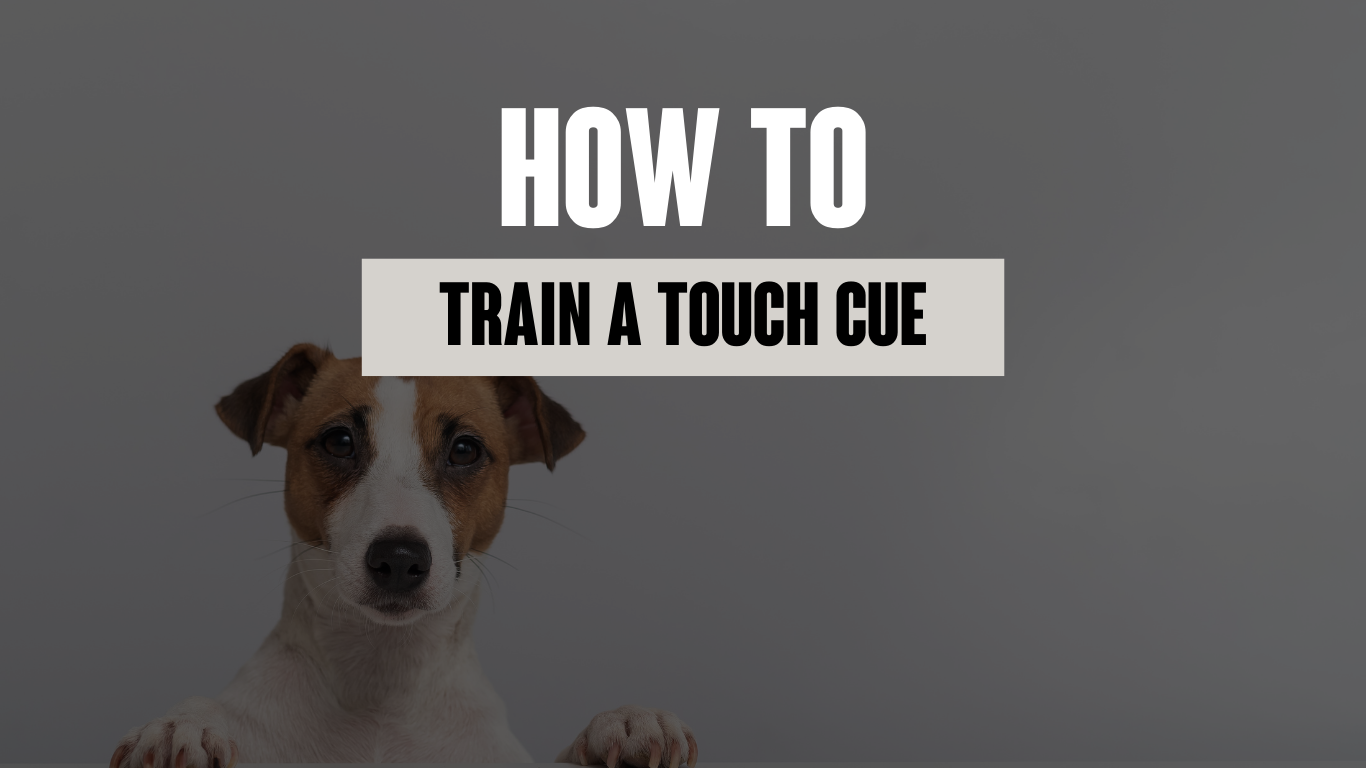 How to Train a Touch Cue