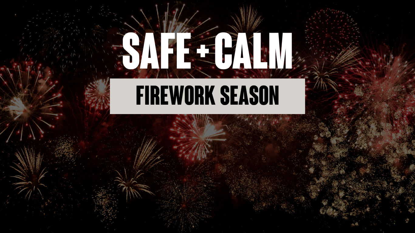 Keeping Your Dog Safe and Calm During Firework Season