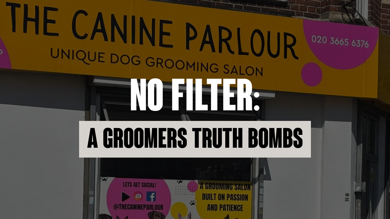 No Filter: A Groomer’s Truth Bombs