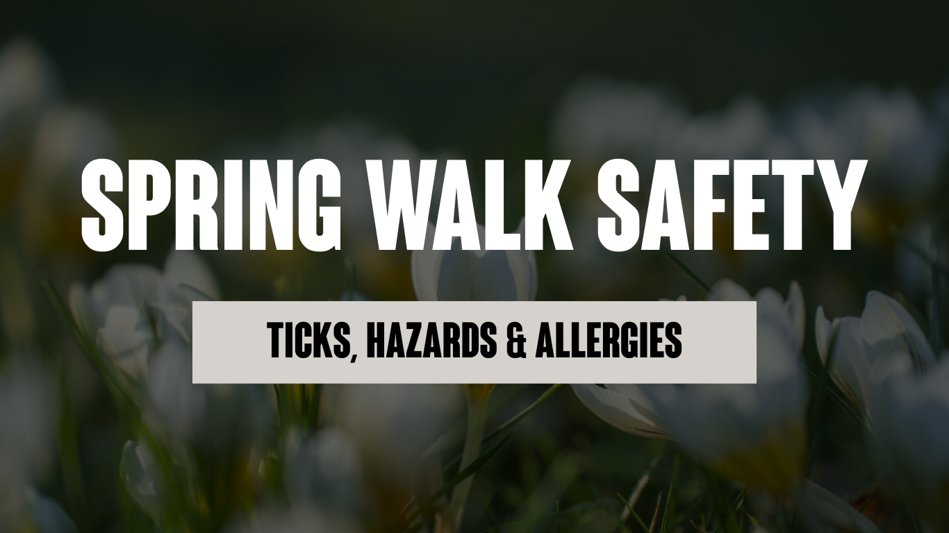 Spring Walk Safety for Dogs: Checking for Ticks, Hazards &amp; Allergies