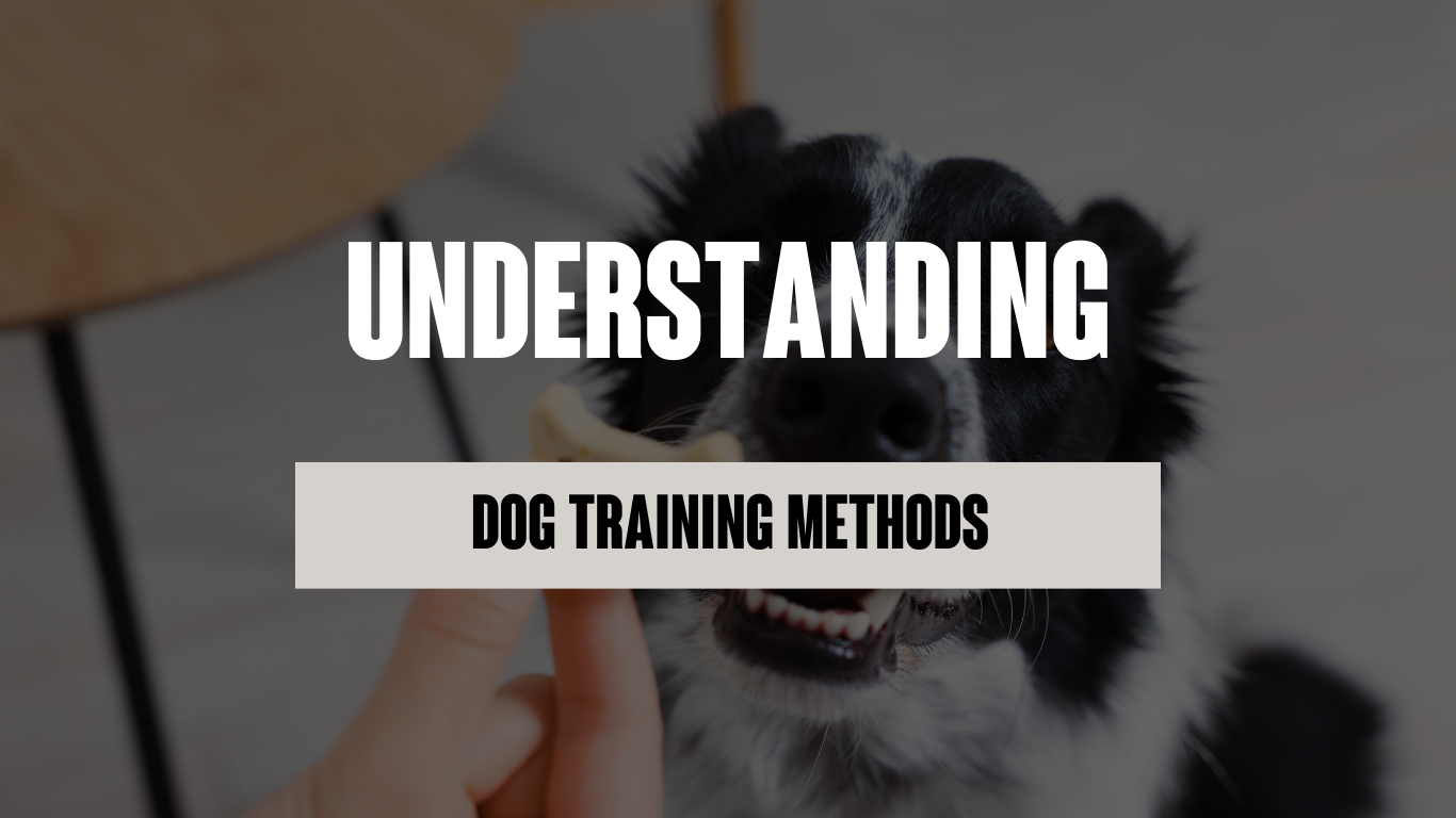 Understanding Dog Training Methods: Reward-Based Balanced Training vs. Compulsion Training