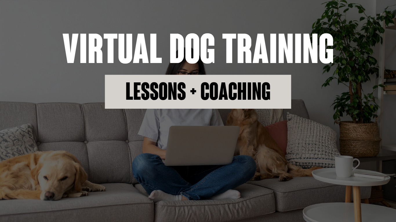 Virtual Dog Training with ASCENDK9