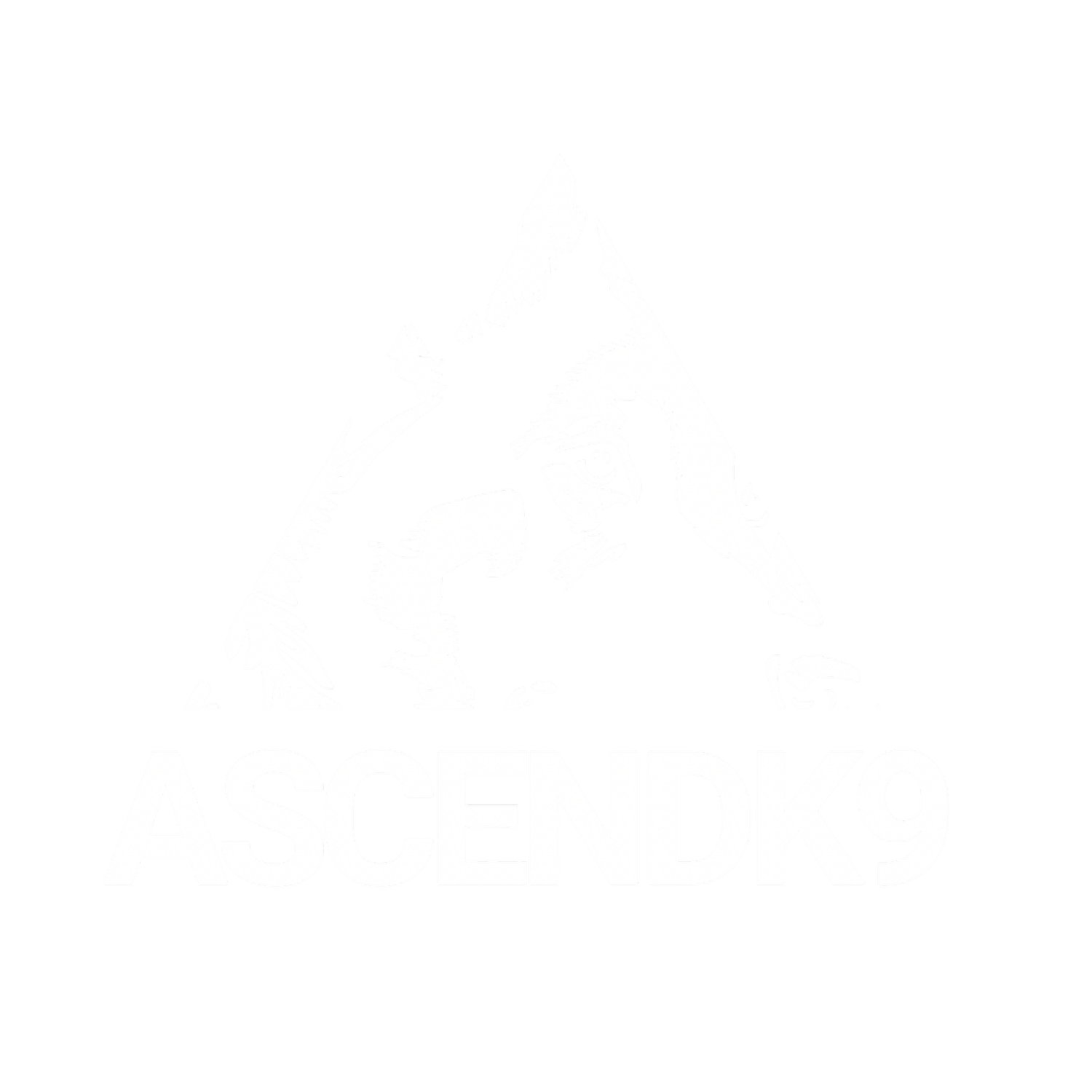 AscendK9
