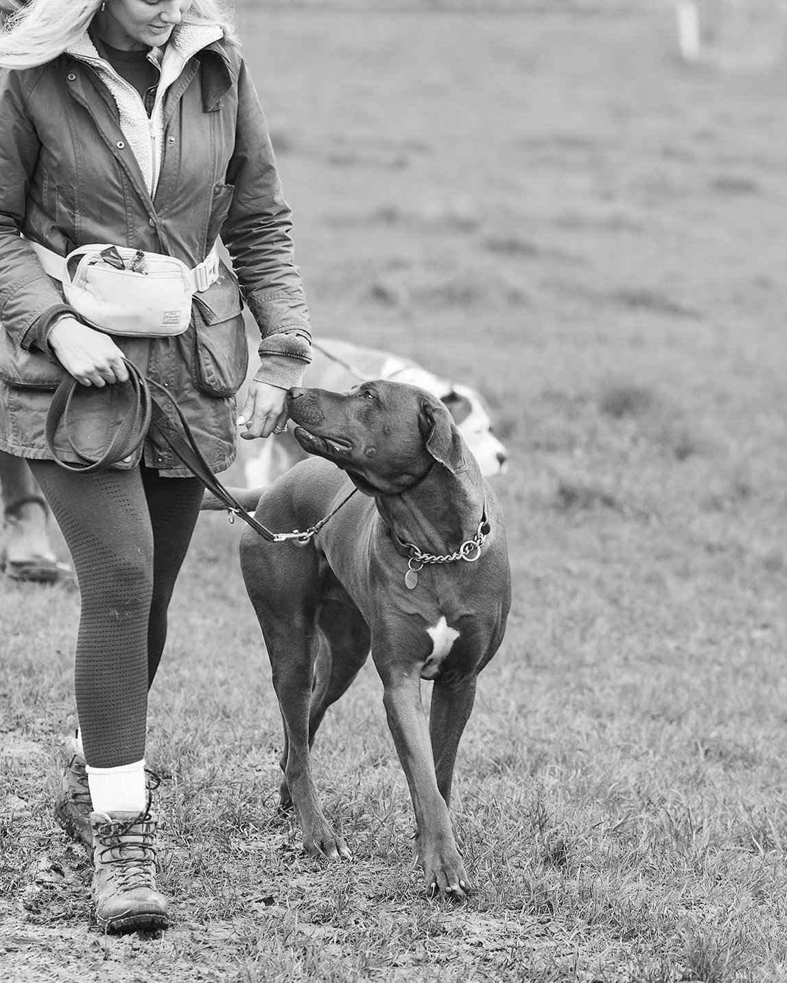 A woman in outdoor clothing walking a large dog on a leash in a grassy field.