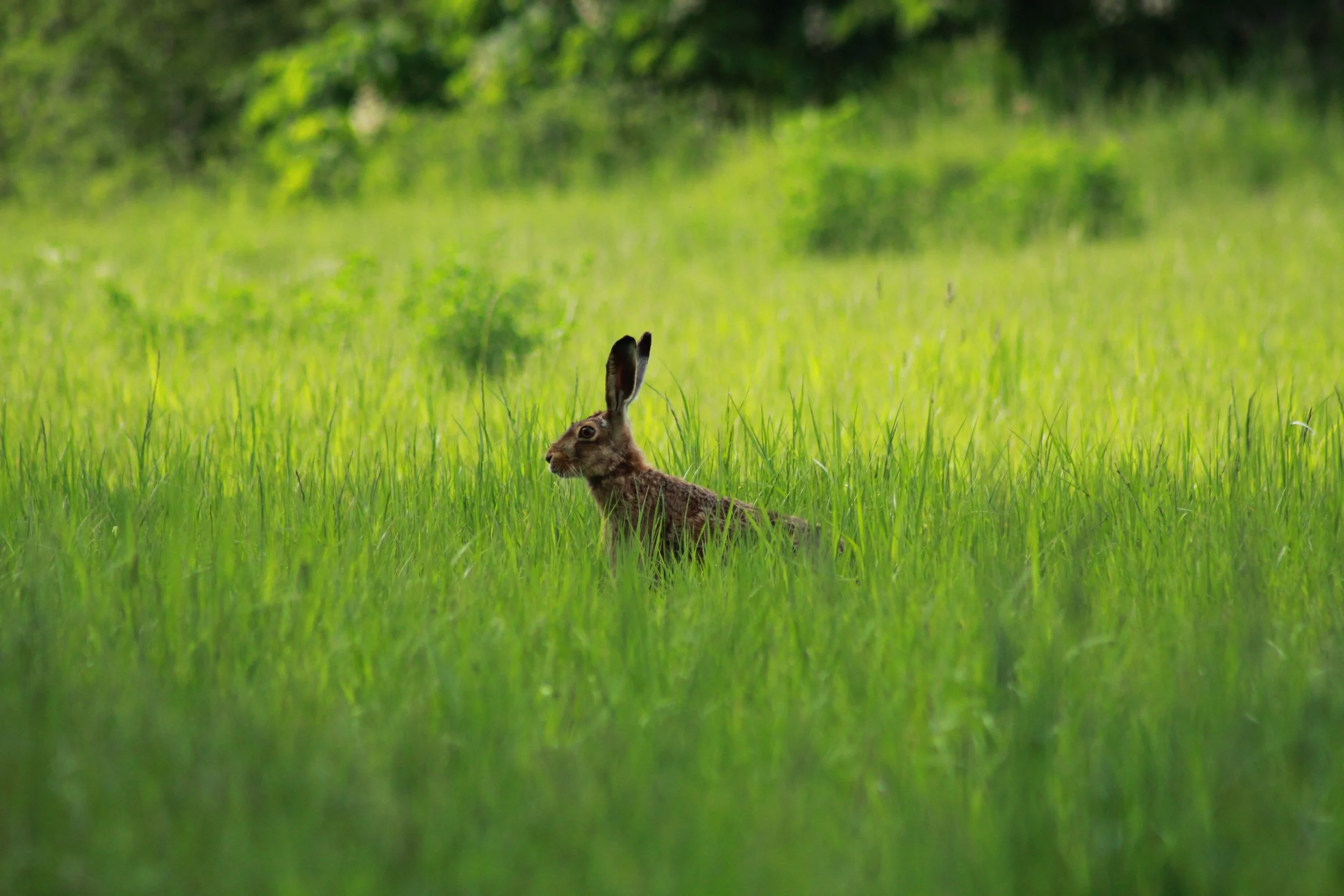 Hier geht´s zur Naturfotografie!