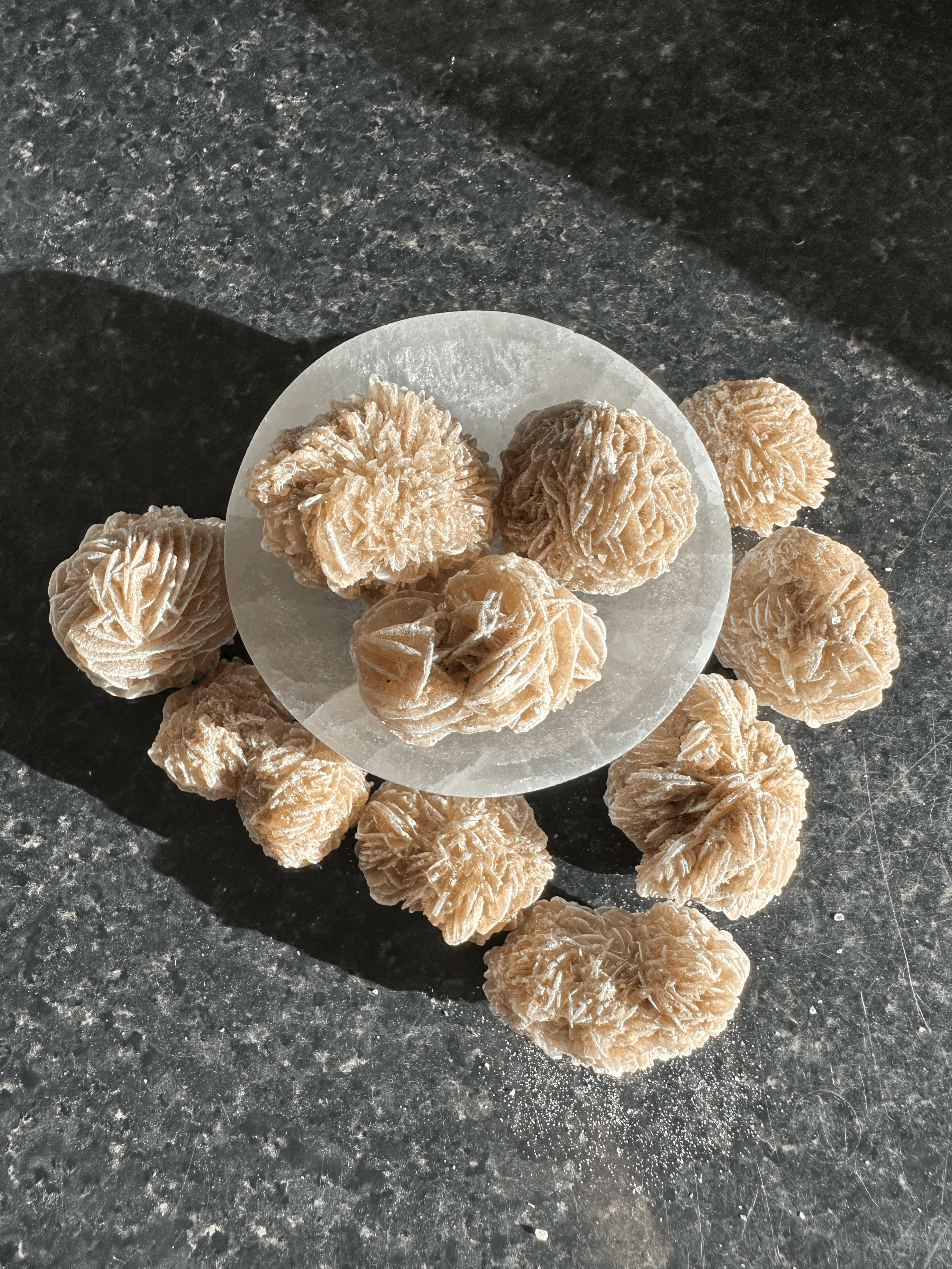 Desert Rose