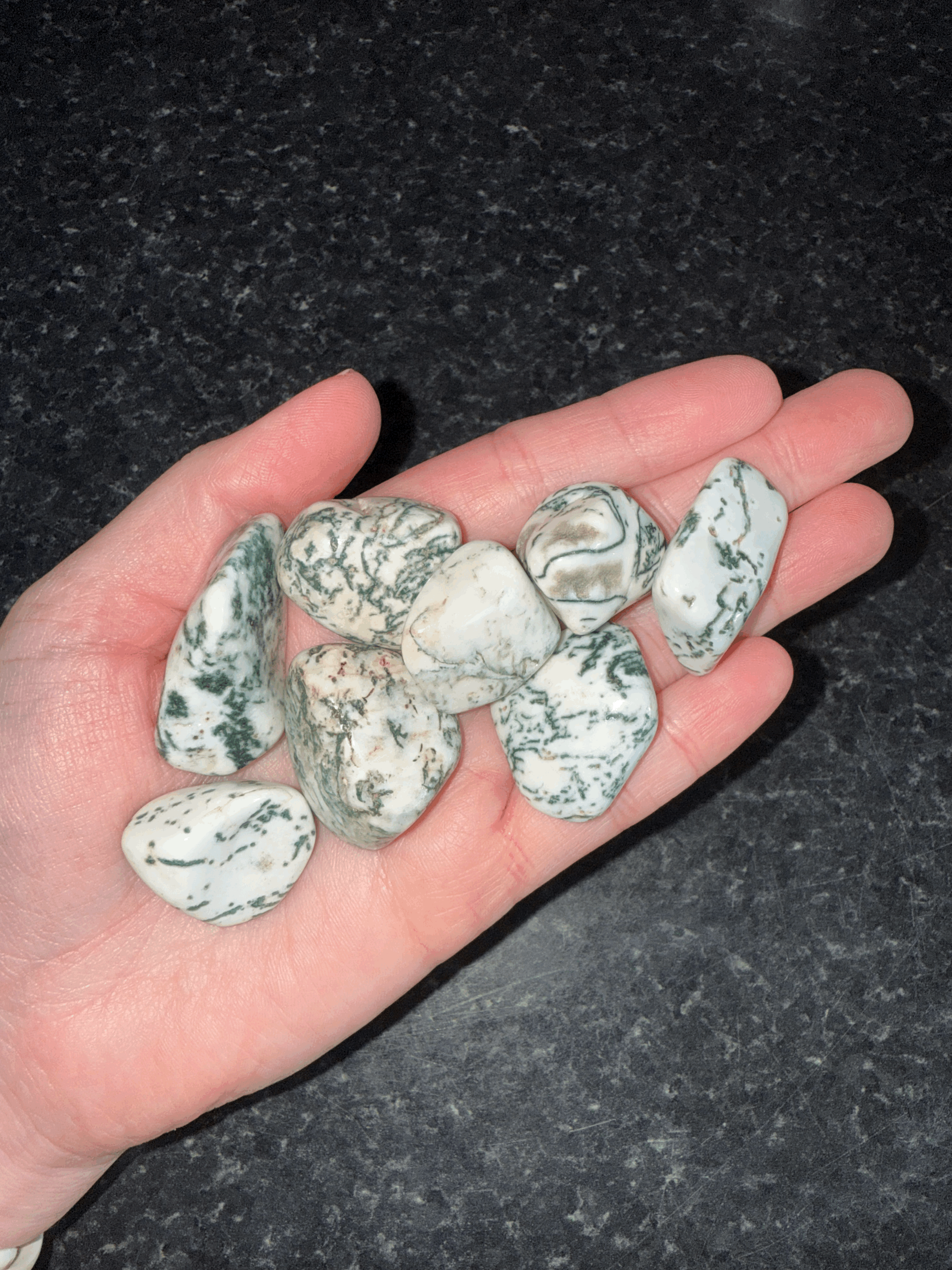 Tree Agate Tumblestones