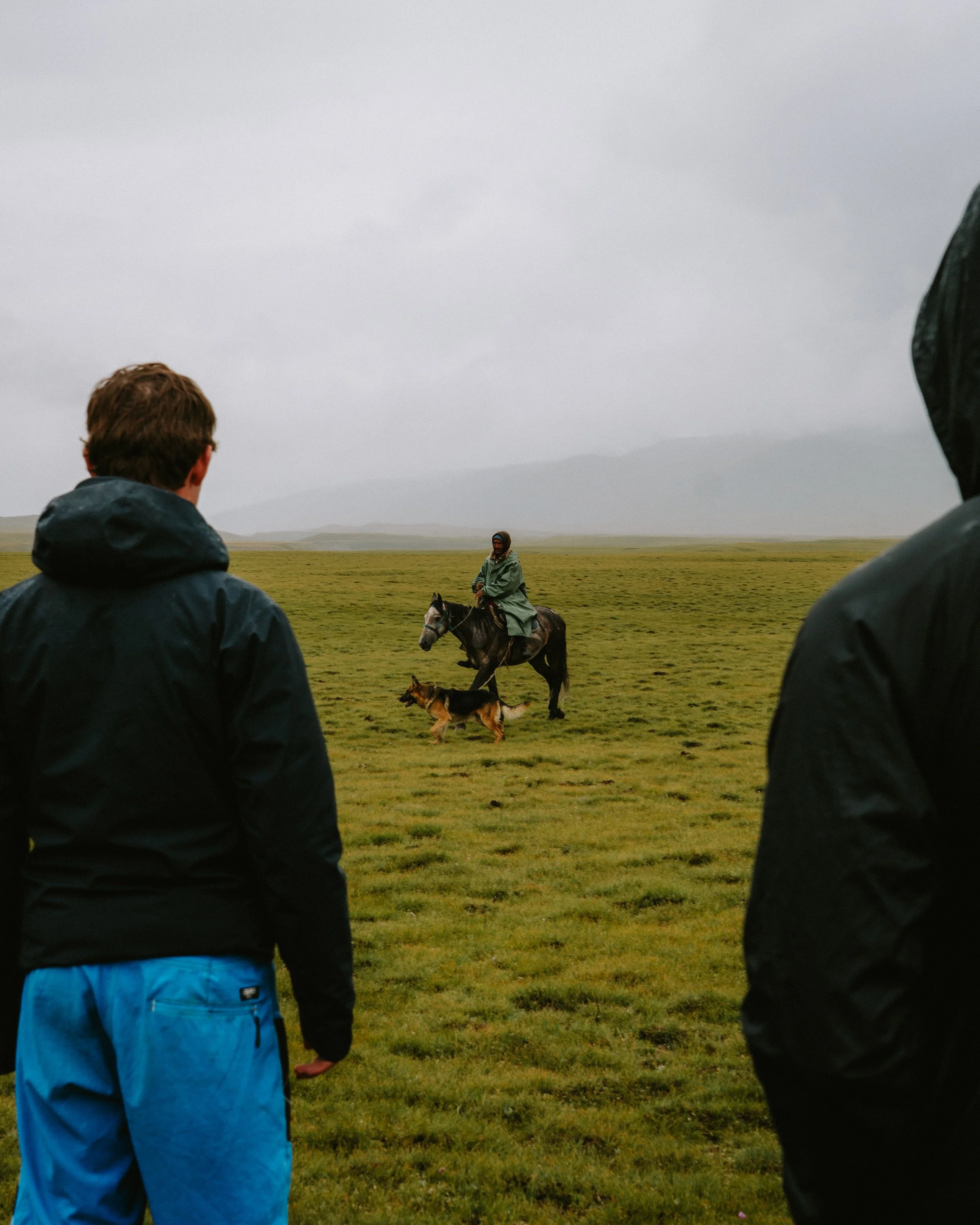 _DSC3790.jpeg