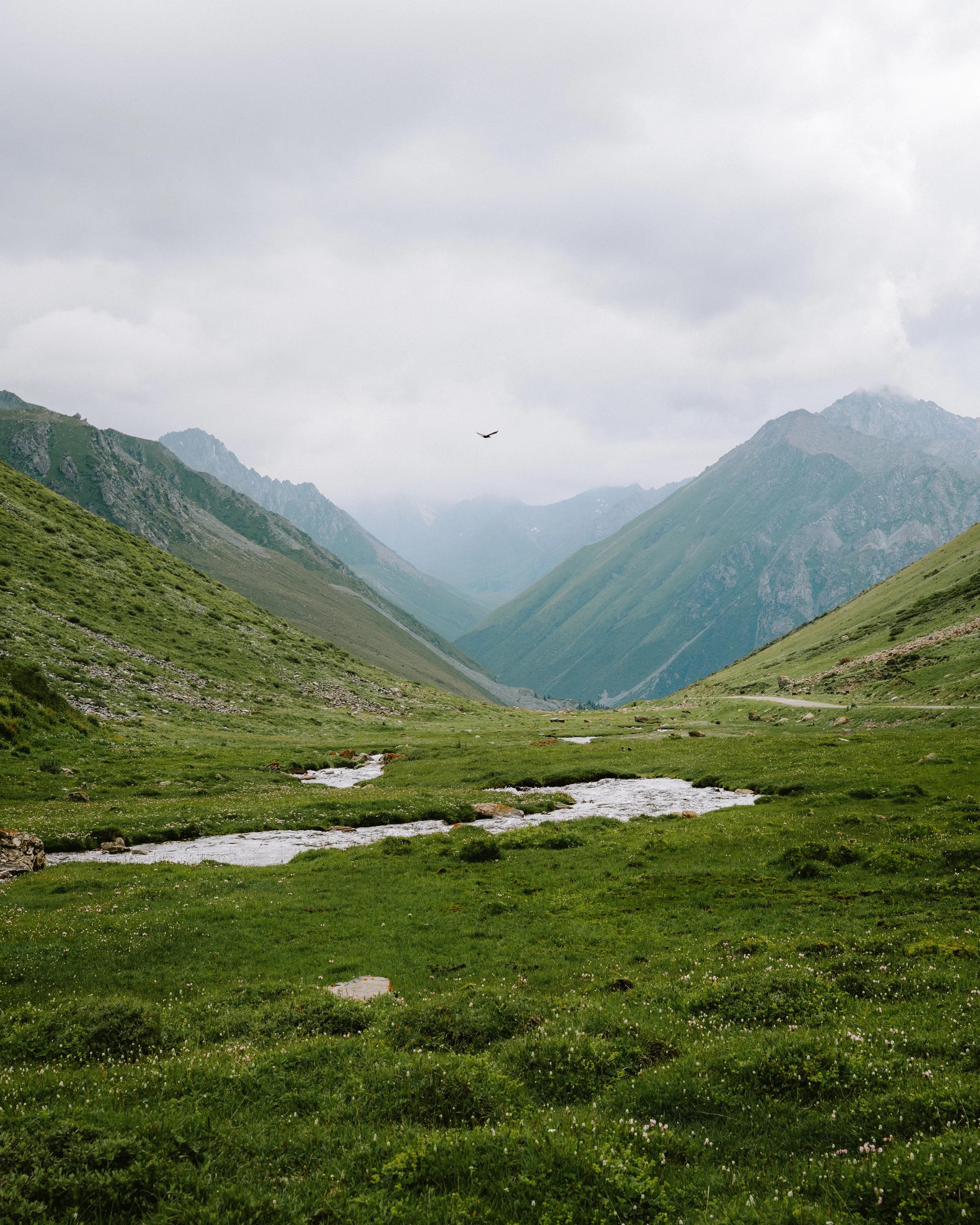 _DSC3904.jpeg