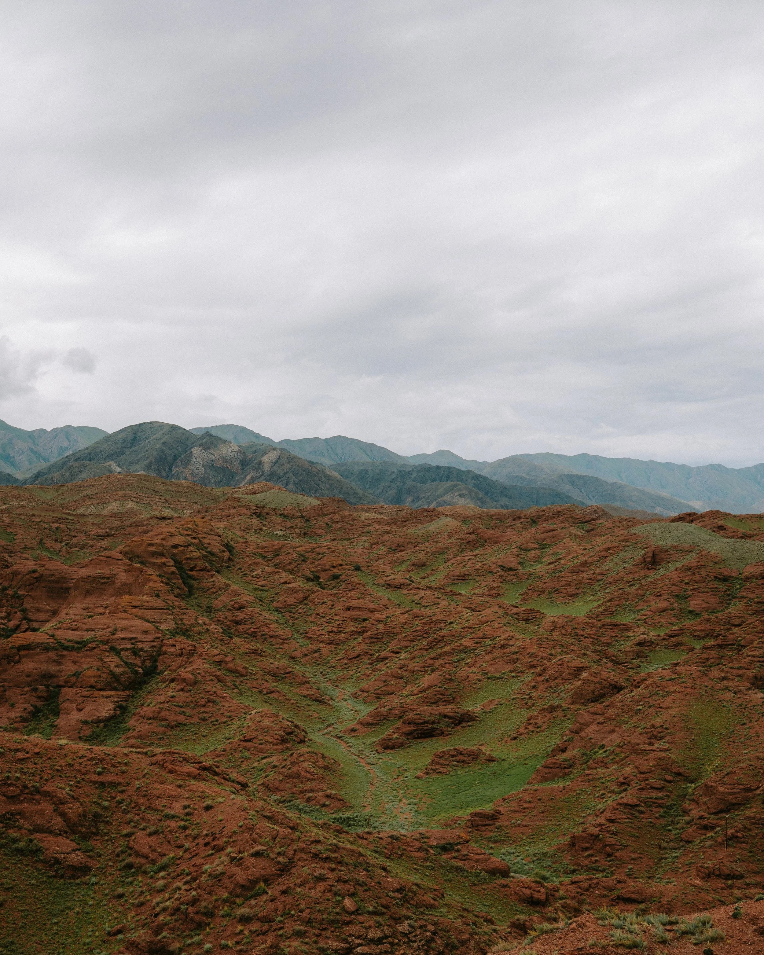_DSC3704.jpeg