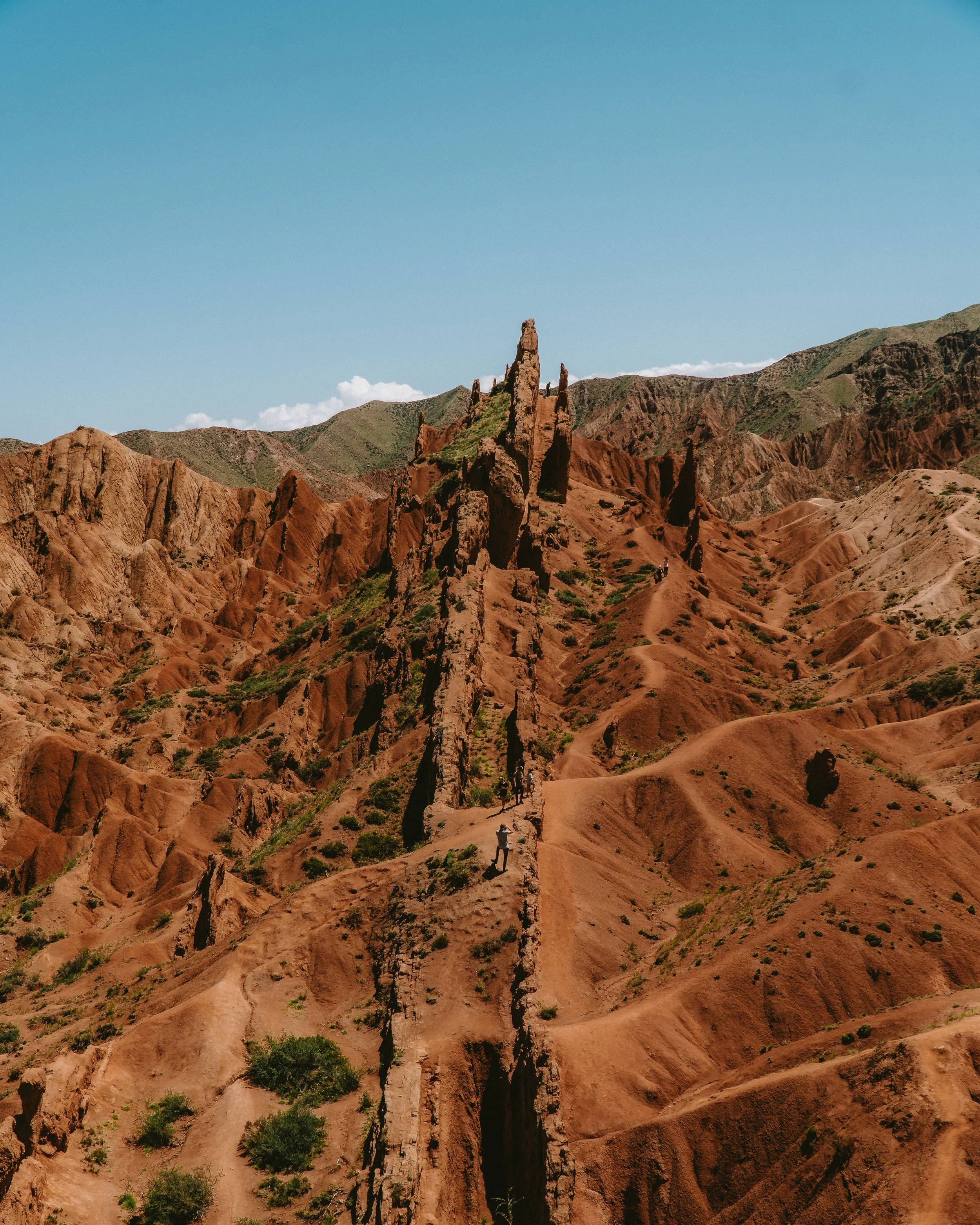 _DSC6595.jpeg